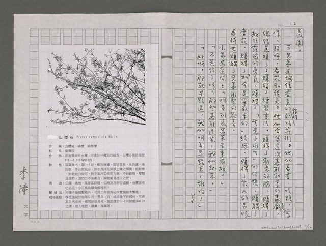 主要名稱：賺得／薔薇山櫻和墨香春聯/劃一題名：樹靈塔系列圖檔，第12張，共12張