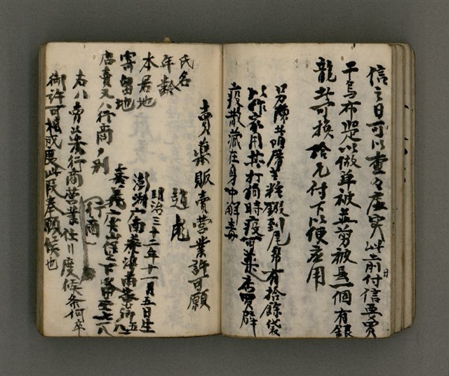 主要名稱：古松凌霜圖檔，第22張，共53張