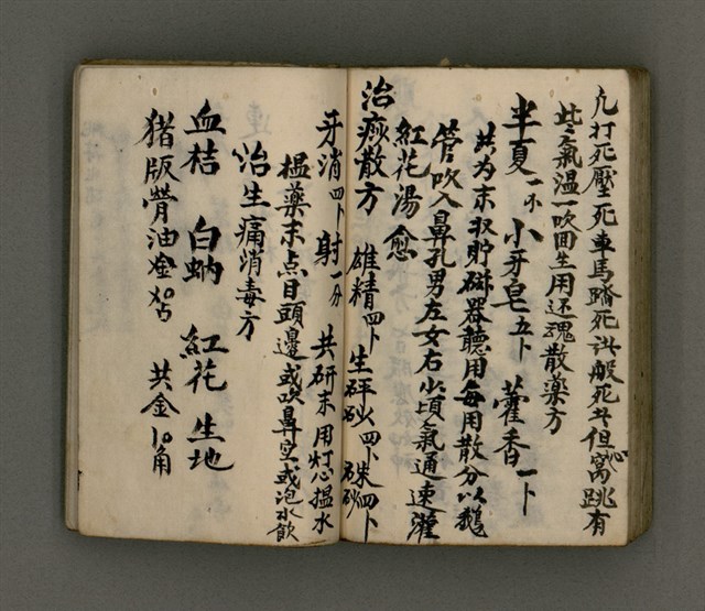 主要名稱：古松凌霜圖檔，第49張，共53張