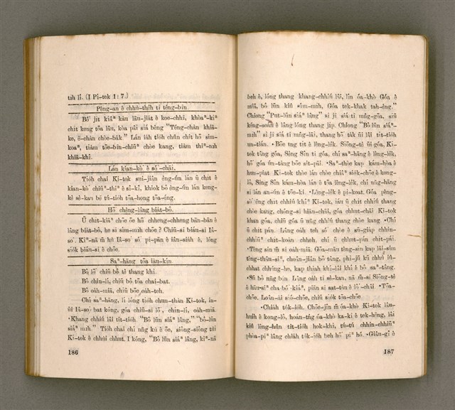 主要名稱：THIAN-LŌ͘ CHÍ-LÂM/其他-其他名稱：天路指南圖檔，第99張，共104張