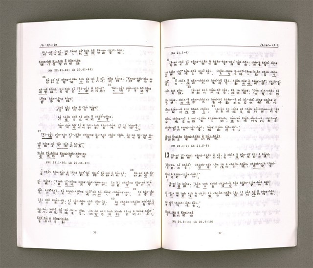 主要名稱：MÁ-KHÓ HOK-IM/其他-其他名稱：馬可福音（現代台語）圖檔，第32張，共43張