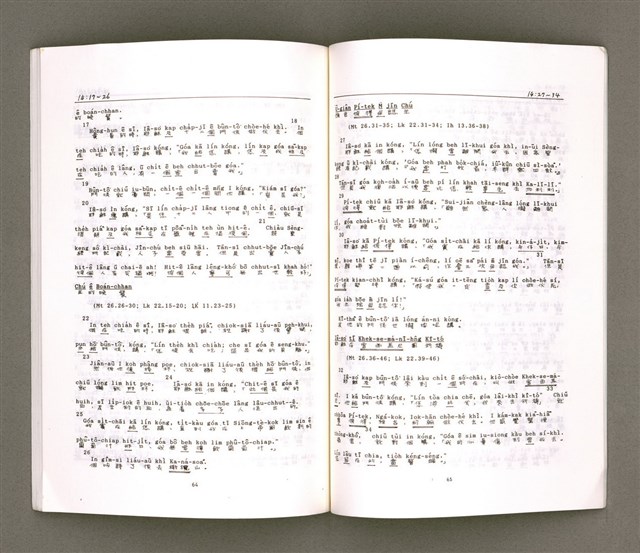 主要名稱：MÁ-KHÓ HOK-IM/其他-其他名稱：馬可福音（現代台語）圖檔，第36張，共43張