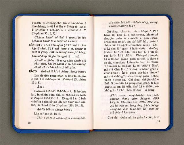 主要名稱：KÀU-HŌE Ê LÉ-PÀI KAP TIÁN-LÉ/其他-其他名稱：教會ê禮拜kap典禮圖檔，第16張，共90張