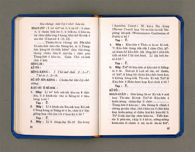 主要名稱：KÀU-HŌE Ê LÉ-PÀI KAP TIÁN-LÉ/其他-其他名稱：教會ê禮拜kap典禮圖檔，第35張，共90張