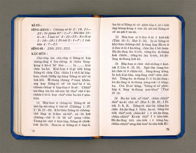 主要名稱：KÀU-HŌE Ê LÉ-PÀI KAP TIÁN-LÉ/其他-其他名稱：教會ê禮拜kap典禮圖檔，第43張，共90張