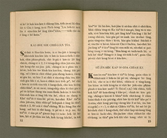 主要名稱：TANG-PŌ͘ THOÂN-TŌ KIÀN-BÛN KÌ/其他-其他名稱：東部傳道見聞記圖檔，第13張，共36張