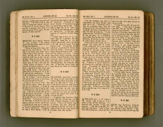 主要名稱：SIN KŪ IOK Ê SÈNG-KENG  TSOÂN SU/其他-其他名稱：新舊約ê聖經全書圖檔，第11張，共571張