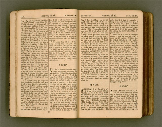 主要名稱：SIN KŪ IOK Ê SÈNG-KENG  TSOÂN SU/其他-其他名稱：新舊約ê聖經全書圖檔，第12張，共571張