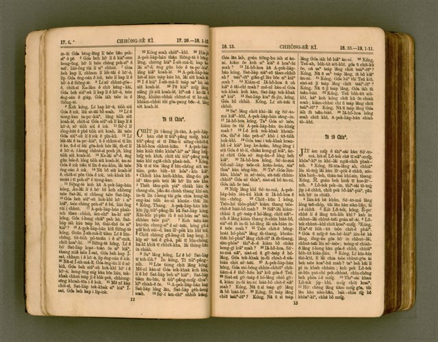 主要名稱：SIN KŪ IOK Ê SÈNG-KENG  TSOÂN SU/其他-其他名稱：新舊約ê聖經全書圖檔，第13張，共571張