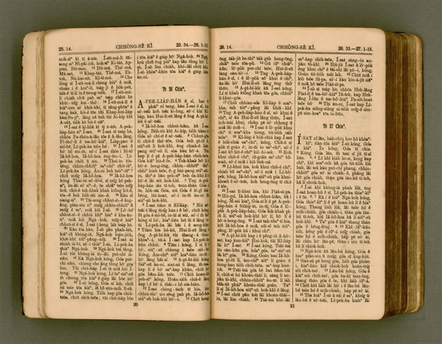 主要名稱：SIN KŪ IOK Ê SÈNG-KENG  TSOÂN SU/其他-其他名稱：新舊約ê聖經全書圖檔，第17張，共571張