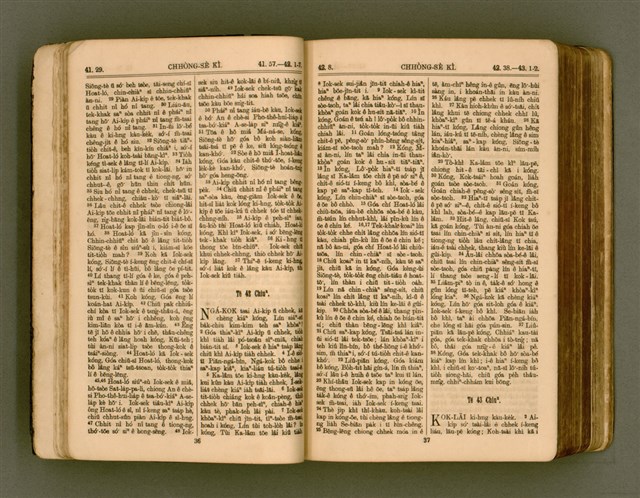 主要名稱：SIN KŪ IOK Ê SÈNG-KENG  TSOÂN SU/其他-其他名稱：新舊約ê聖經全書圖檔，第25張，共571張