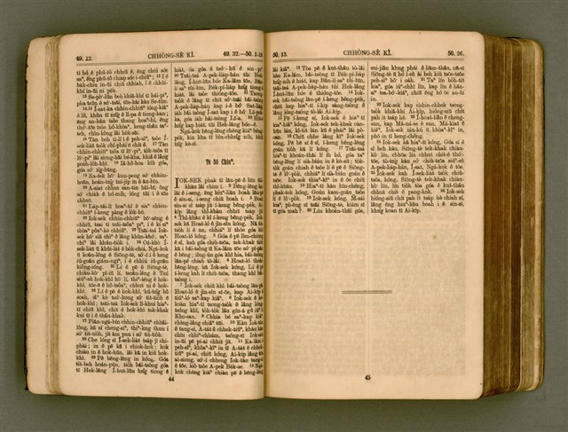 主要名稱：SIN KŪ IOK Ê SÈNG-KENG  TSOÂN SU/其他-其他名稱：新舊約ê聖經全書圖檔，第29張，共571張