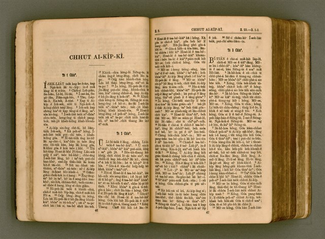 主要名稱：SIN KŪ IOK Ê SÈNG-KENG  TSOÂN SU/其他-其他名稱：新舊約ê聖經全書圖檔，第30張，共571張