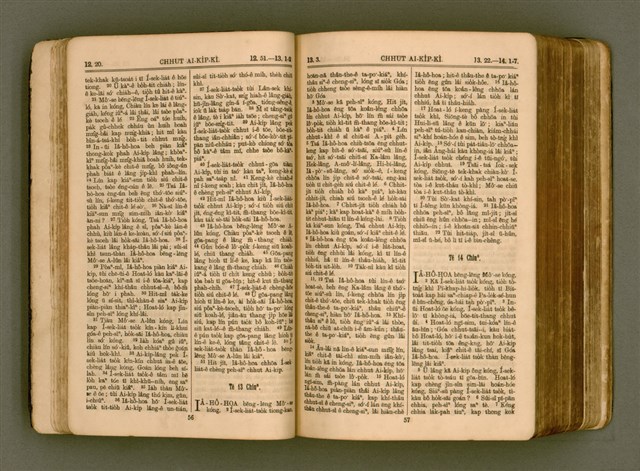 主要名稱：SIN KŪ IOK Ê SÈNG-KENG  TSOÂN SU/其他-其他名稱：新舊約ê聖經全書圖檔，第35張，共571張