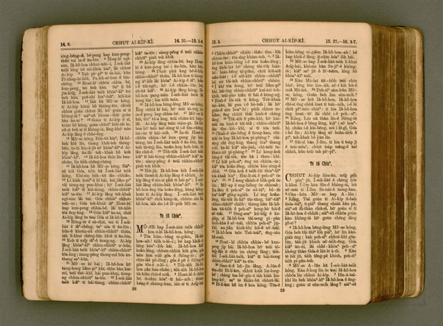 主要名稱：SIN KŪ IOK Ê SÈNG-KENG  TSOÂN SU/其他-其他名稱：新舊約ê聖經全書圖檔，第36張，共571張