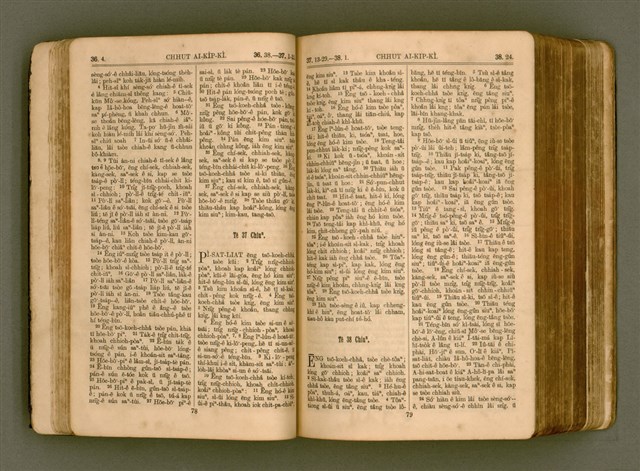 主要名稱：SIN KŪ IOK Ê SÈNG-KENG  TSOÂN SU/其他-其他名稱：新舊約ê聖經全書圖檔，第46張，共571張