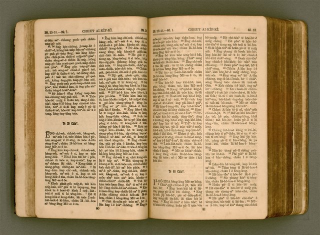 主要名稱：SIN KŪ IOK Ê SÈNG-KENG  TSOÂN SU/其他-其他名稱：新舊約ê聖經全書圖檔，第47張，共571張