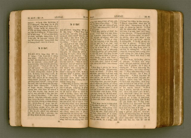 主要名稱：SIN KŪ IOK Ê SÈNG-KENG  TSOÂN SU/其他-其他名稱：新舊約ê聖經全書圖檔，第53張，共571張