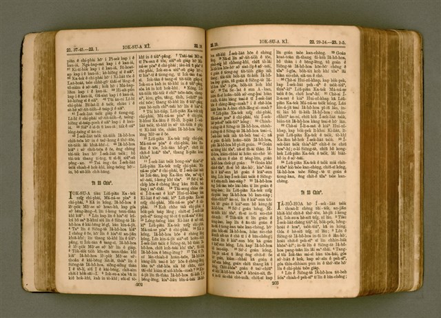 主要名稱：SIN KŪ IOK Ê SÈNG-KENG  TSOÂN SU/其他-其他名稱：新舊約ê聖經全書圖檔，第108張，共571張