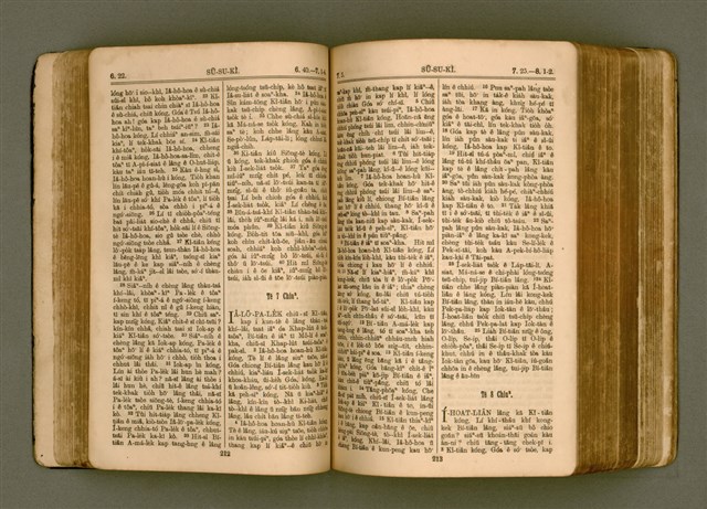 主要名稱：SIN KŪ IOK Ê SÈNG-KENG  TSOÂN SU/其他-其他名稱：新舊約ê聖經全書圖檔，第113張，共571張