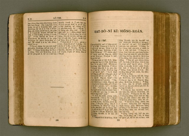 主要名稱：SIN KŪ IOK Ê SÈNG-KENG  TSOÂN SU/其他-其他名稱：新舊約ê聖經全書圖檔，第123張，共571張