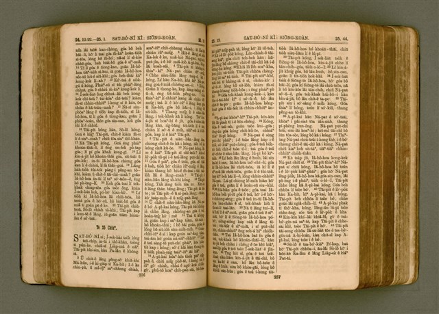 主要名稱：SIN KŪ IOK Ê SÈNG-KENG  TSOÂN SU/其他-其他名稱：新舊約ê聖經全書圖檔，第135張，共571張