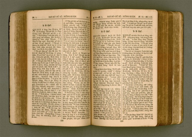 主要名稱：SIN KŪ IOK Ê SÈNG-KENG  TSOÂN SU/其他-其他名稱：新舊約ê聖經全書圖檔，第136張，共571張