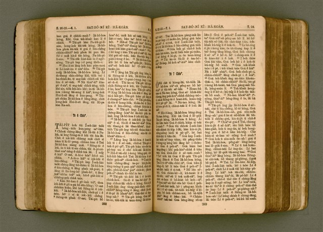 主要名稱：SIN KŪ IOK Ê SÈNG-KENG  TSOÂN SU/其他-其他名稱：新舊約ê聖經全書圖檔，第141張，共571張