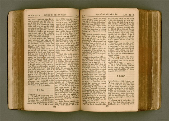 主要名稱：SIN KŪ IOK Ê SÈNG-KENG  TSOÂN SU/其他-其他名稱：新舊約ê聖經全書圖檔，第144張，共571張