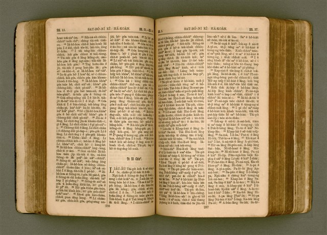 主要名稱：SIN KŪ IOK Ê SÈNG-KENG  TSOÂN SU/其他-其他名稱：新舊約ê聖經全書圖檔，第150張，共571張