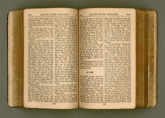 主要名稱：SIN KŪ IOK Ê SÈNG-KENG  TSOÂN SU/其他-其他名稱：新舊約ê聖經全書圖檔，第156張，共571張