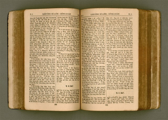 主要名稱：SIN KŪ IOK Ê SÈNG-KENG  TSOÂN SU/其他-其他名稱：新舊約ê聖經全書圖檔，第158張，共571張