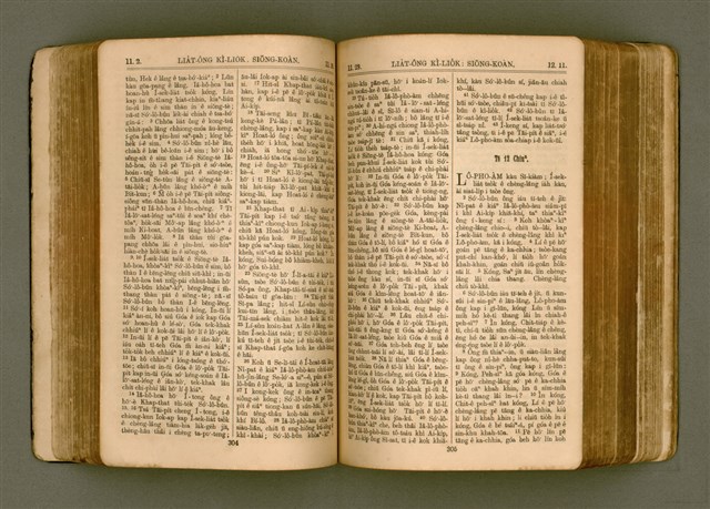 主要名稱：SIN KŪ IOK Ê SÈNG-KENG  TSOÂN SU/其他-其他名稱：新舊約ê聖經全書圖檔，第159張，共571張