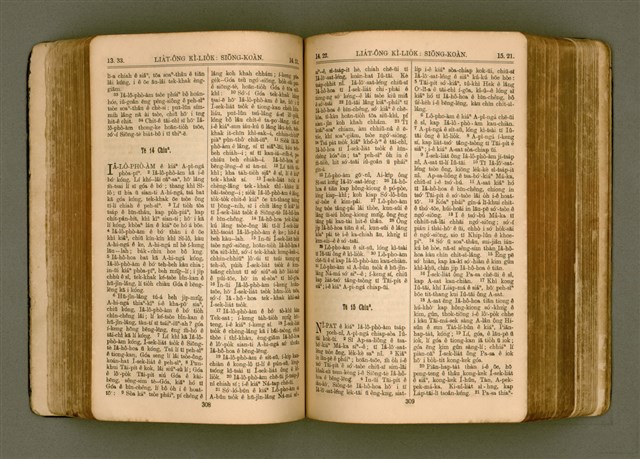 主要名稱：SIN KŪ IOK Ê SÈNG-KENG  TSOÂN SU/其他-其他名稱：新舊約ê聖經全書圖檔，第161張，共571張