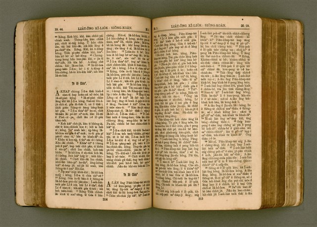 主要名稱：SIN KŪ IOK Ê SÈNG-KENG  TSOÂN SU/其他-其他名稱：新舊約ê聖經全書圖檔，第164張，共571張