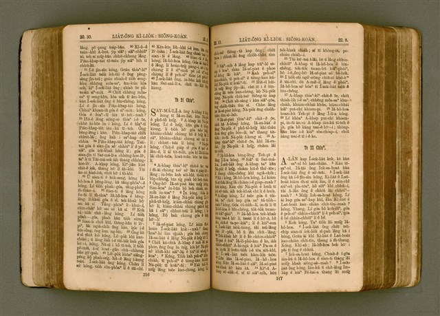 主要名稱：SIN KŪ IOK Ê SÈNG-KENG  TSOÂN SU/其他-其他名稱：新舊約ê聖經全書圖檔，第165張，共571張