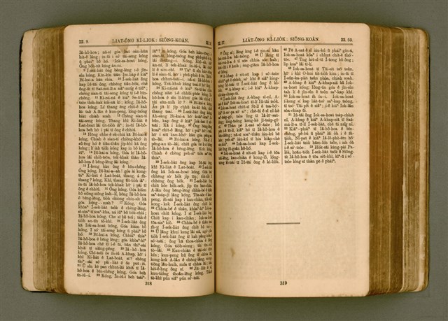 主要名稱：SIN KŪ IOK Ê SÈNG-KENG  TSOÂN SU/其他-其他名稱：新舊約ê聖經全書圖檔，第166張，共571張