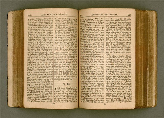 主要名稱：SIN KŪ IOK Ê SÈNG-KENG  TSOÂN SU/其他-其他名稱：新舊約ê聖經全書圖檔，第169張，共571張