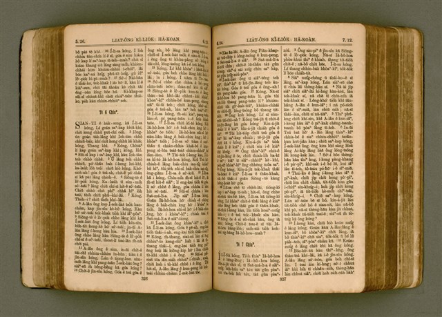 主要名稱：SIN KŪ IOK Ê SÈNG-KENG  TSOÂN SU/其他-其他名稱：新舊約ê聖經全書圖檔，第170張，共571張