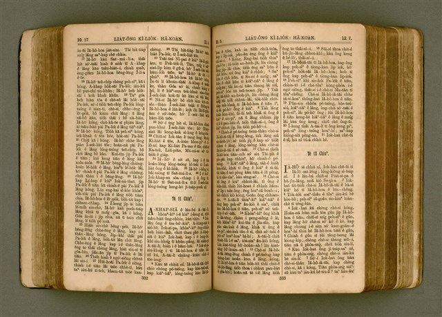 主要名稱：SIN KŪ IOK Ê SÈNG-KENG  TSOÂN SU/其他-其他名稱：新舊約ê聖經全書圖檔，第173張，共571張