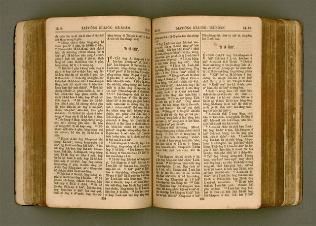 主要名稱：SIN KŪ IOK Ê SÈNG-KENG  TSOÂN SU/其他-其他名稱：新舊約ê聖經全書圖檔，第174張，共571張