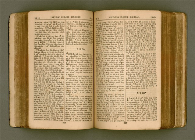 主要名稱：SIN KŪ IOK Ê SÈNG-KENG  TSOÂN SU/其他-其他名稱：新舊約ê聖經全書圖檔，第175張，共571張