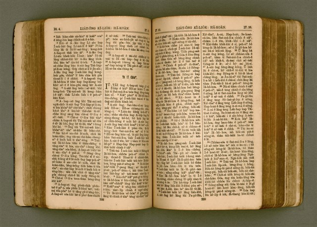 主要名稱：SIN KŪ IOK Ê SÈNG-KENG  TSOÂN SU/其他-其他名稱：新舊約ê聖經全書圖檔，第176張，共571張