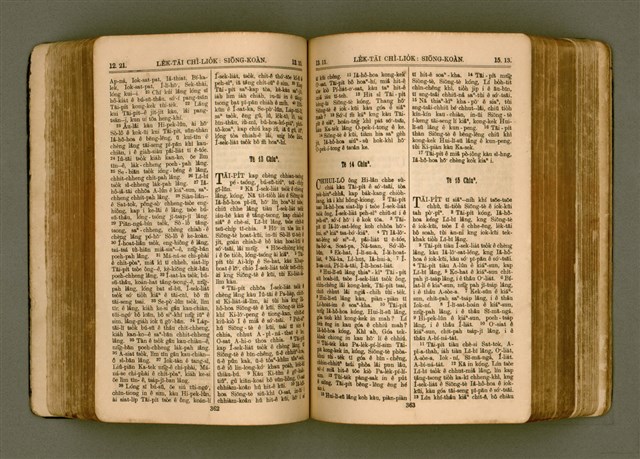 主要名稱：SIN KŪ IOK Ê SÈNG-KENG  TSOÂN SU/其他-其他名稱：新舊約ê聖經全書圖檔，第188張，共571張