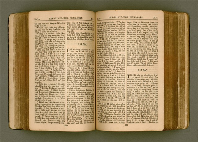 主要名稱：SIN KŪ IOK Ê SÈNG-KENG  TSOÂN SU/其他-其他名稱：新舊約ê聖經全書圖檔，第189張，共571張