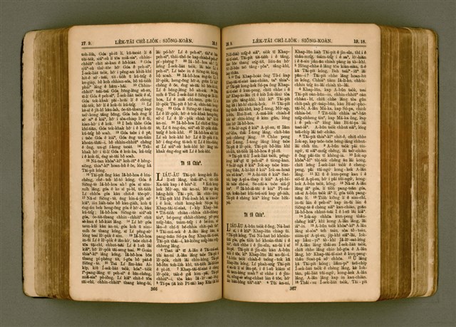 主要名稱：SIN KŪ IOK Ê SÈNG-KENG  TSOÂN SU/其他-其他名稱：新舊約ê聖經全書圖檔，第190張，共571張