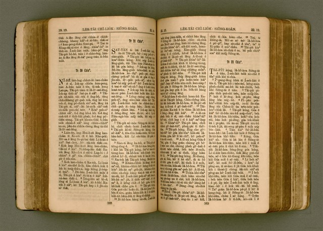 主要名稱：SIN KŪ IOK Ê SÈNG-KENG  TSOÂN SU/其他-其他名稱：新舊約ê聖經全書圖檔，第191張，共571張