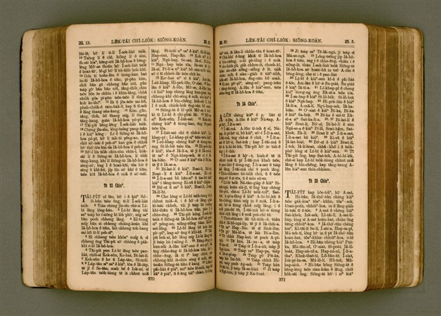 主要名稱：SIN KŪ IOK Ê SÈNG-KENG  TSOÂN SU/其他-其他名稱：新舊約ê聖經全書圖檔，第192張，共571張