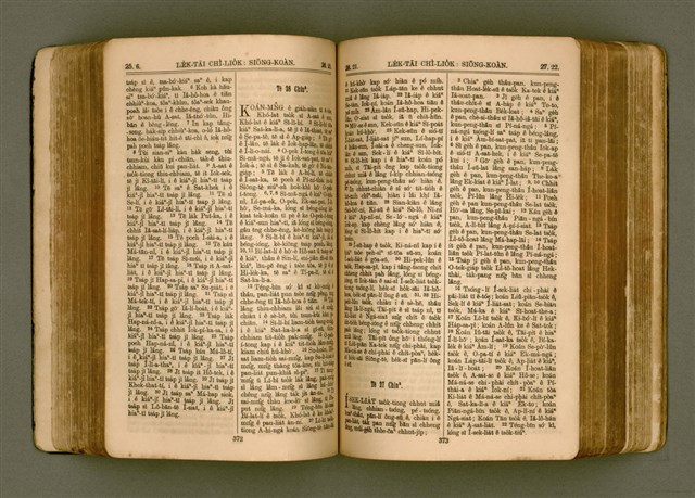 主要名稱：SIN KŪ IOK Ê SÈNG-KENG  TSOÂN SU/其他-其他名稱：新舊約ê聖經全書圖檔，第193張，共571張