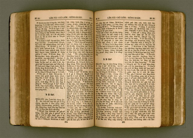 主要名稱：SIN KŪ IOK Ê SÈNG-KENG  TSOÂN SU/其他-其他名稱：新舊約ê聖經全書圖檔，第194張，共571張